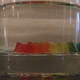 Illustration for article titled Gummy Bears Taste Good But Theyre Fucking Gross When Soaked in Fluid
